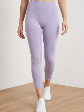 Pursue Fitness Lavender Seamless High-Rise Leggings Small Stretch Gym Activewear